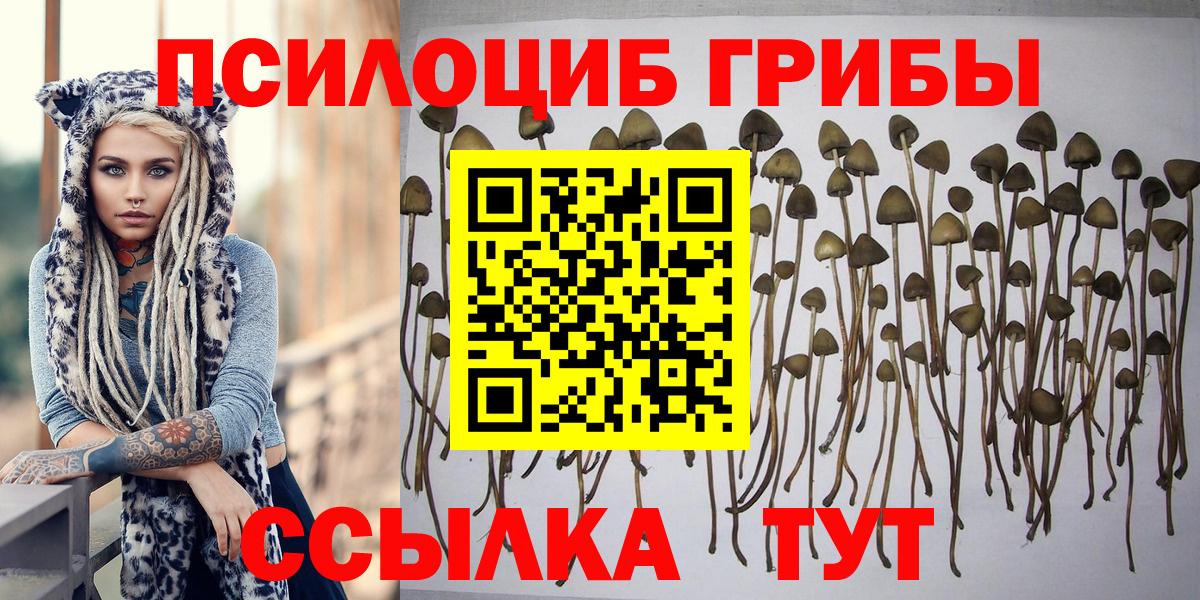 Галлюциногенные грибы Magic Shrooms Учалы