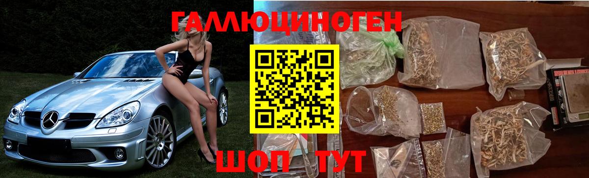 Учалы  Галлюциногенные грибы Psilocybine cubensis  что такое наркотик  Вход с VPN 